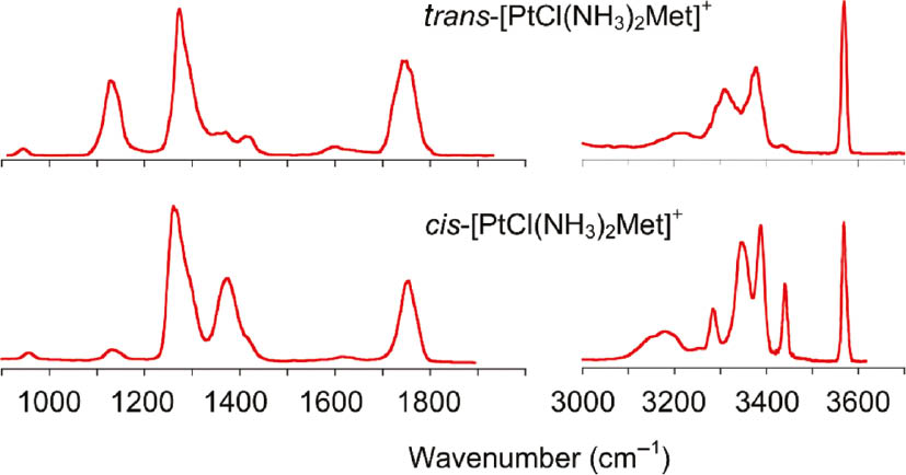 Fig. 8: IRMPD spectra of cis-[PtCl(NH3)2Met]+ and trans-[PtCl(NH3)2Met]+ complexes.