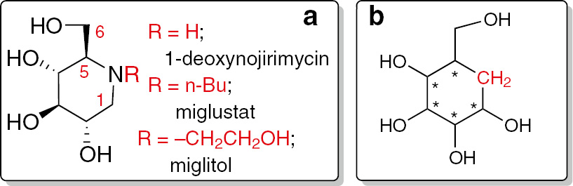 Fig. 1: Examples of (a) iminosugars; (b) carbasugars.