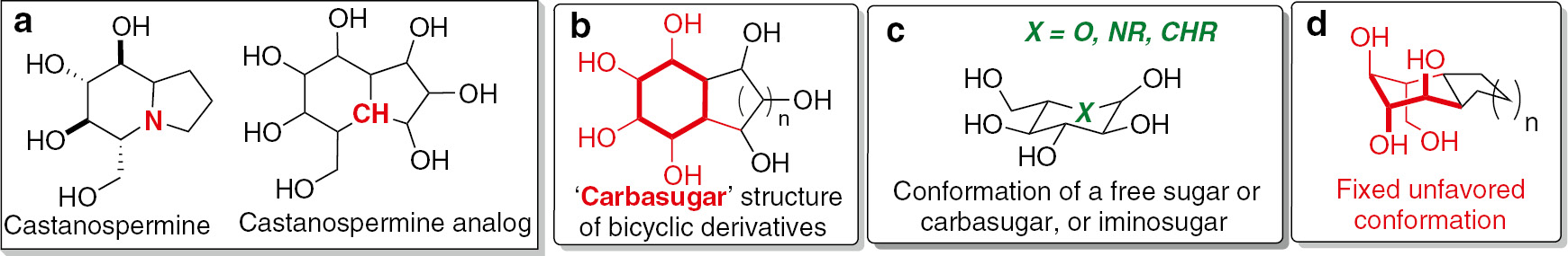 Fig. 2: Similarity of polyhydroxylated bicyclic derivatives to iminosugars and conformational analysis of carbasugars.