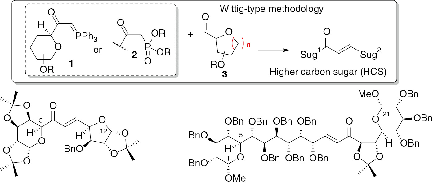 Fig. 3: Examples of C12 and C21 monosaccharides.