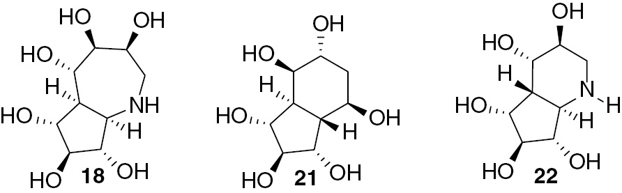 Fig. 5: Examples of sugar mimetics prepared in our laboratory.