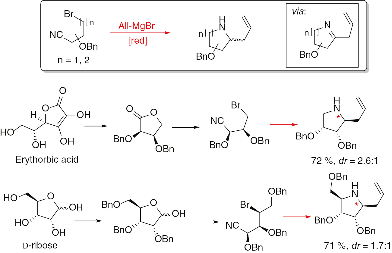 Fig. 7: Preparation of various polyhroxylated pyrrolidines from the corresponding bromonitriles.