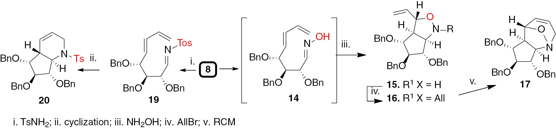 Scheme 4: Application of sugar allyltins in the preparation of sugar rare bicyclic iminosugars.