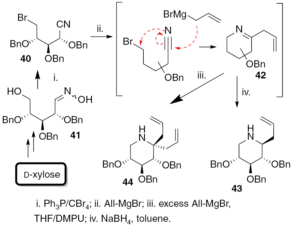 Scheme 7: Preparation of monocyclic iminosugars from sugar-derivatives.