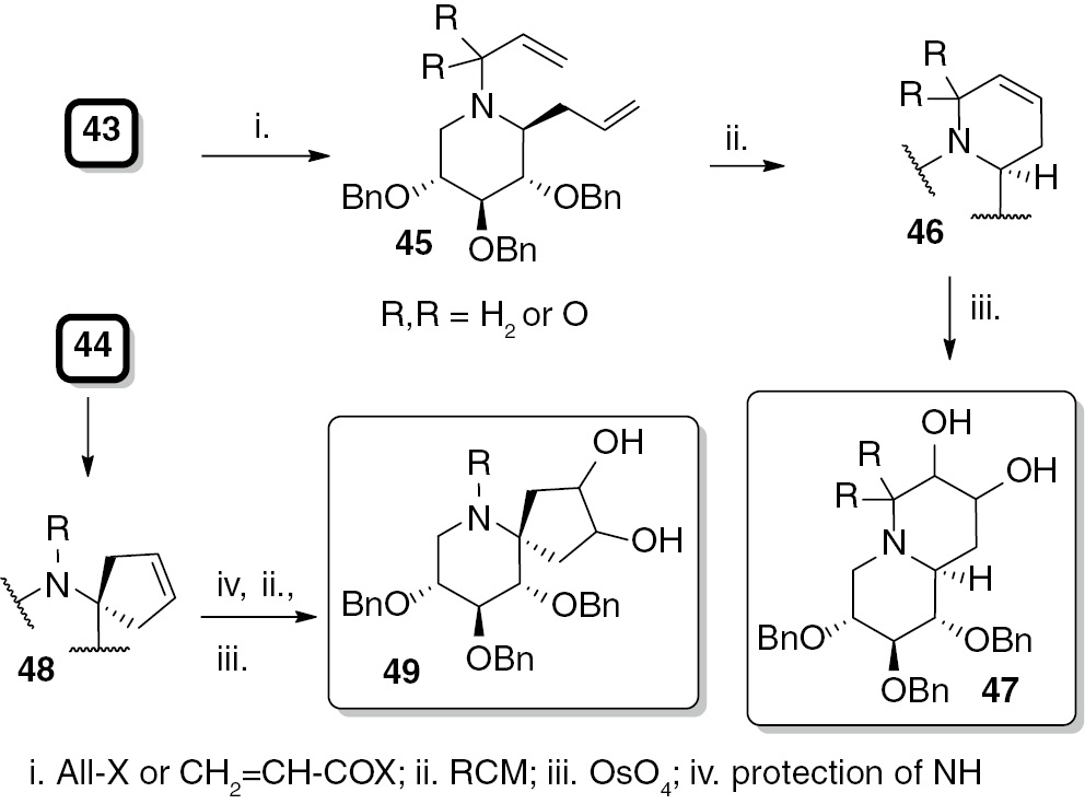 Scheme 8: Preparation of bicyclic iminosugars.
