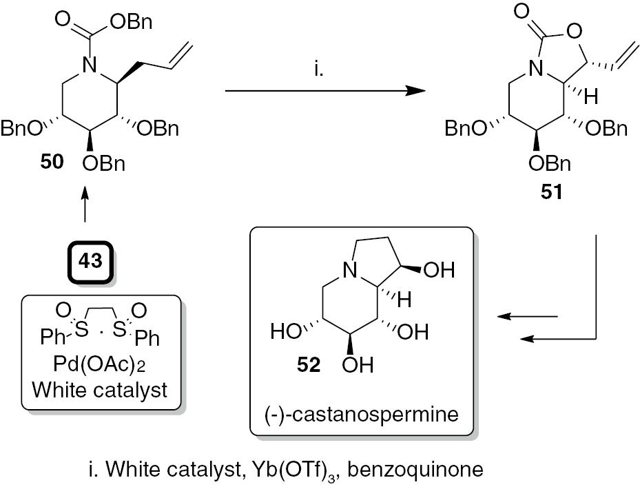 Scheme 9: Synthesis of the enantiomer of natural castanospermine.