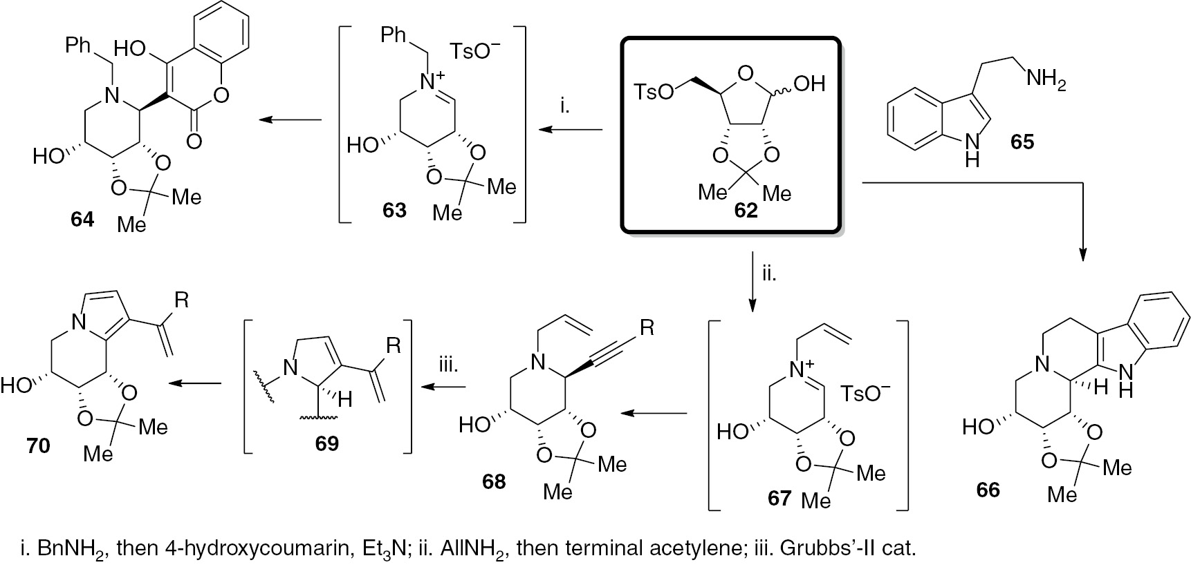 Scheme 12: Diversity oriented one-pot synthesis of novel iminosugar C-aryl glycosides.