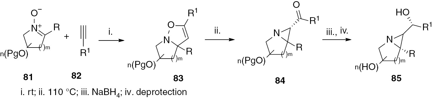 Scheme 13: Aziridination of cyclic nitrones targeting constrained iminosugars.