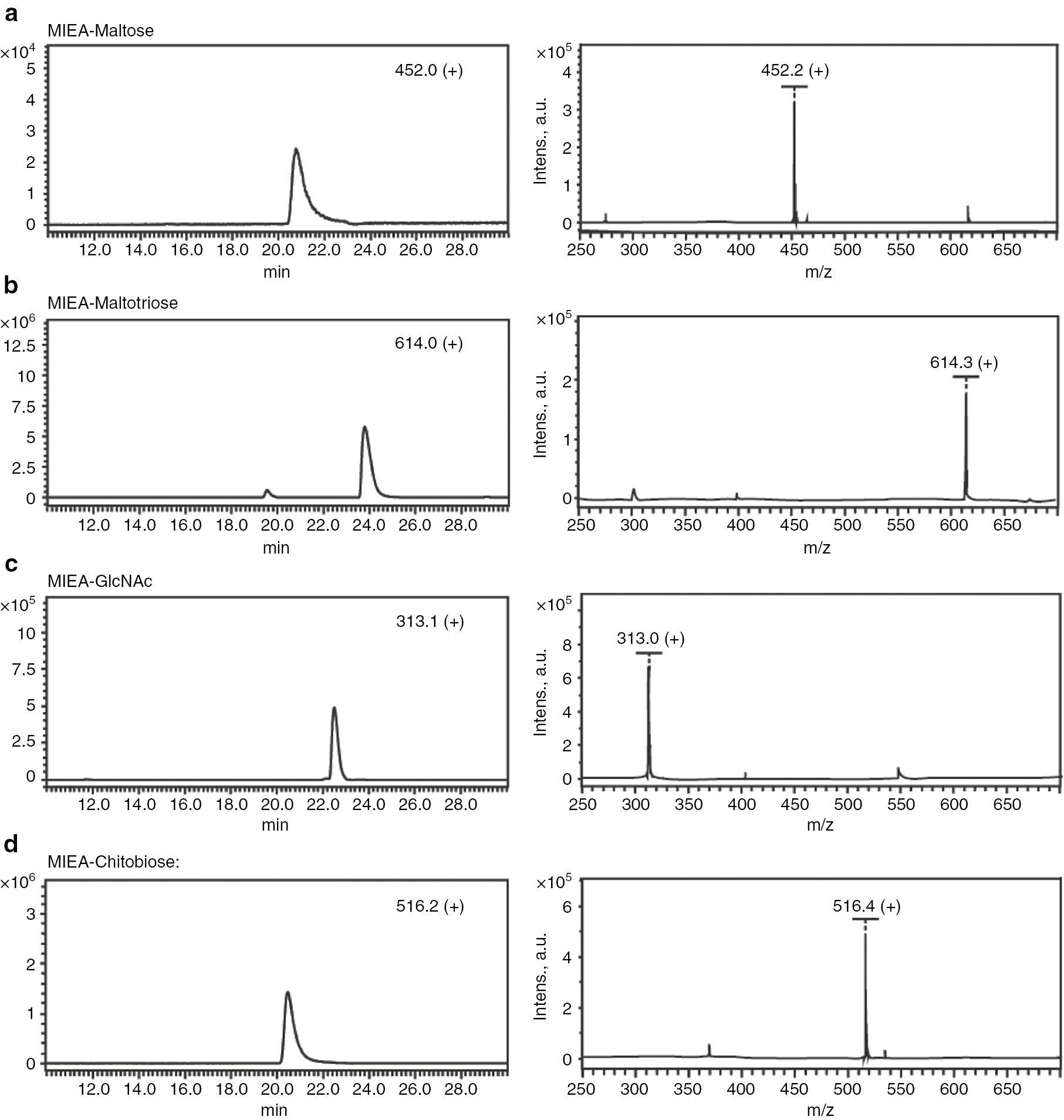 Fig. 1: MALDI-ToF-MS and LC-ESI-MS spectra of MIEA+ labeled standards maltose (a), maltotriose (b), GlcNAc (c), and chitibiose (d).