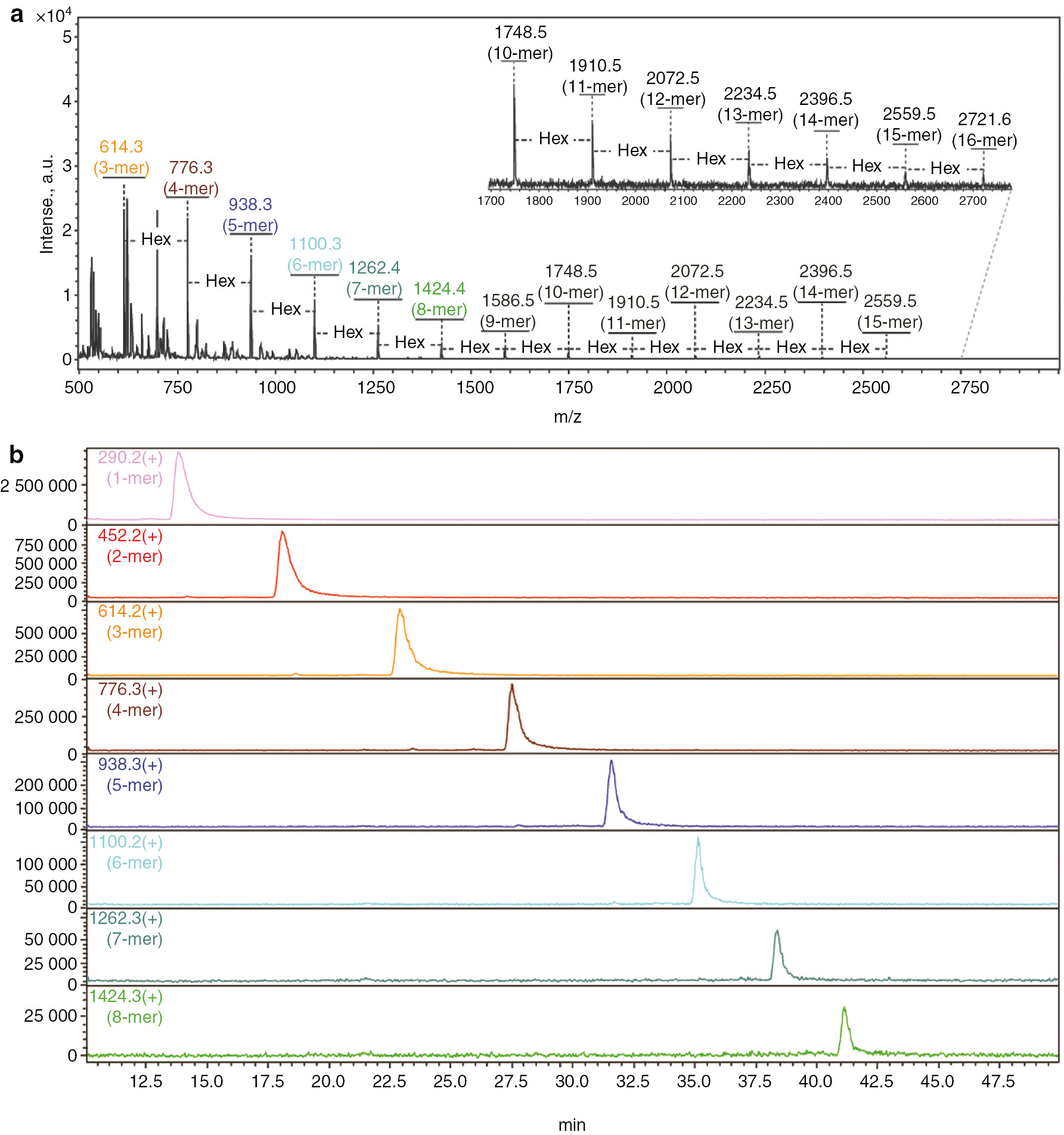 Fig. 2: MALDI-ToF-MS and LC-ESI-MS spectra of MIEA+-labeled dextran oligomers. (a) MALDI-ToF-MS spectrum; (b) LC-ESI-MS spectrum.