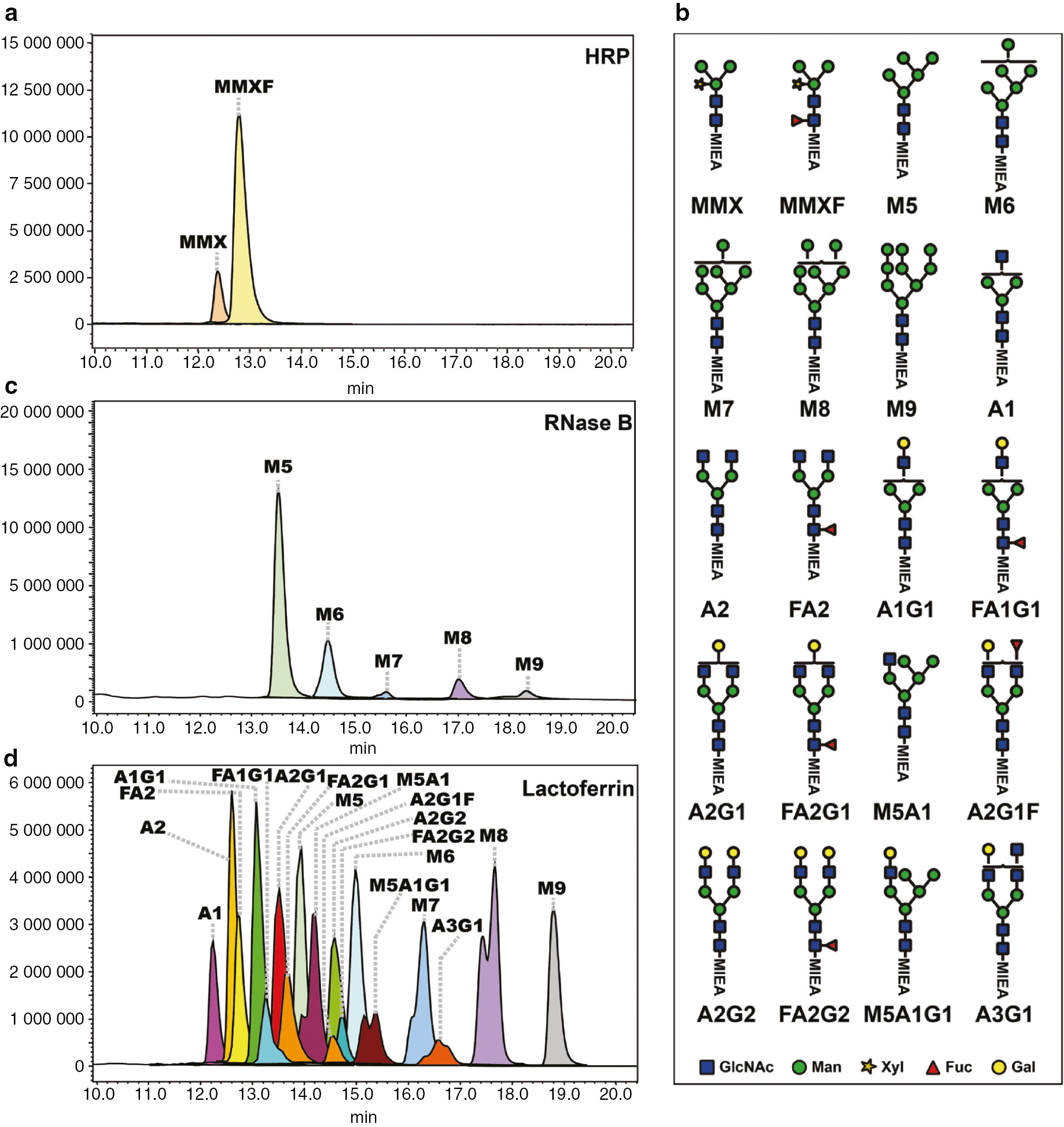 Fig. 3: Extracted ion chromatogram (EIC) profile for MIEA+-labeled N-glycans from HRP, RNase B and lactoferrin. (a) EIC profile of MIEA+-labeled N-glycans from HRP; (b) a summary of all annotated MIEA+-labeled N-glycan structures; (c) EIC profile of MIEA+-labeled N-glycans from RNase B; (d) EIC profile of MIEA+-labeled N-glycans from lactoferrin.