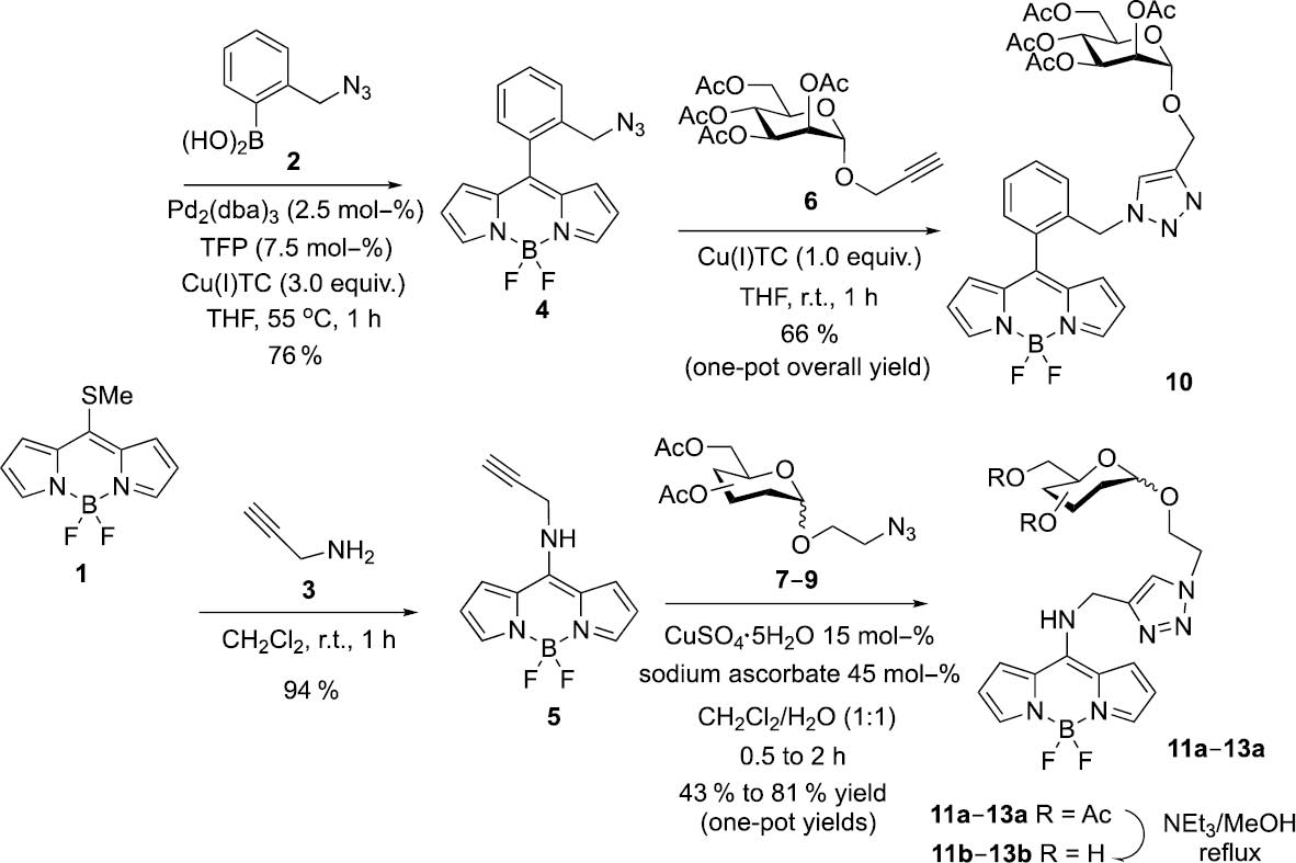 Scheme 1: Synthesis of carbohydrate-BODIPY hybrids 10–13 from Biellmann’s BODIPY (1) by a (one-pot) sequence involving LSSCC and CuAAC reactions.