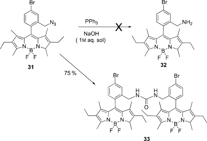 Scheme 5: Staudinger reaction of compound 31, leading to urea-bridged bis-BODIPY 33, rather than to aminomethyl BODIPY 32.
