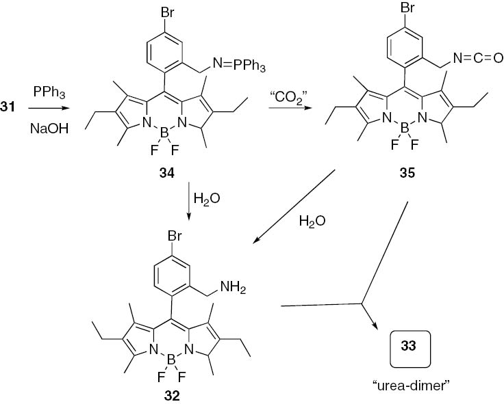 Scheme 6: Proposed reaction pathway from azido BODIPY 31 to urea-bridged bis-BODIPY 33, via isocyanate intermediate 36.