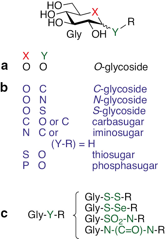 Fig. 1: Glycomimetics. (a) The glycosidic bond in a natural glycan; (b) Some types of glycomimetics; (c) Examples for the replacement of the glycosidic oxygen by multiple atomic linkers.