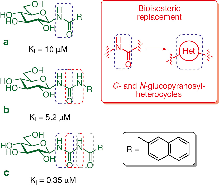 Fig. 2: Some inhibitors of glycogen phosphorylase [Ki against rabbit muscle GPb (RMGPb)]. N-Acyl-β-d-glucopyranosylamine (a), N-substituted-N′-β-d-glucopyranosyl urea (b) and N-acyl-N′-β-d-glucopyranosyl urea (c) type inhibitors as the basic compounds for bioisosteric replacements.