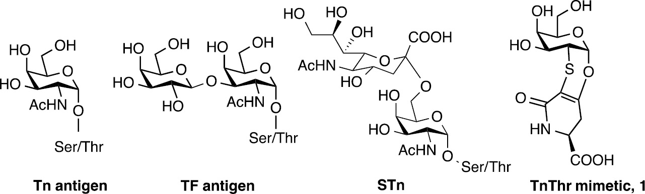 Fig. 1: Structure of tumor antigens Tn, TF, STn and STF and of TnThr mimetic 1.