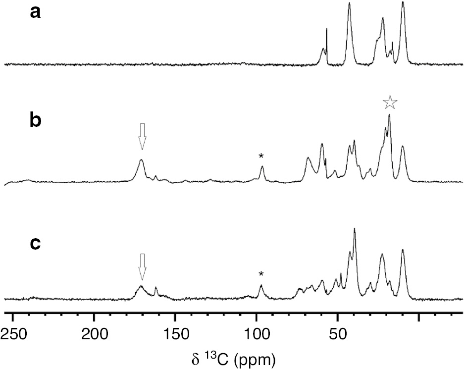 Fig. 2: {1H}-13C CP MAS spectra of (a) propylamine-coated SiNPs, (b) acetylated glycosylated SiNPs and (c) deacetylated glycosylated SiNPs in 3.2 mm rotors, collected on 850 and 800 MHz spectrometers at ~280 K and MAS of 14 kHz. The carbonyl, anomeric, ethylene and methyl signals are marked with arrows, asterisks, and stars, respectively. Of note, the ethylene and anomeric carbons (marked with asterisk) are superimposed.