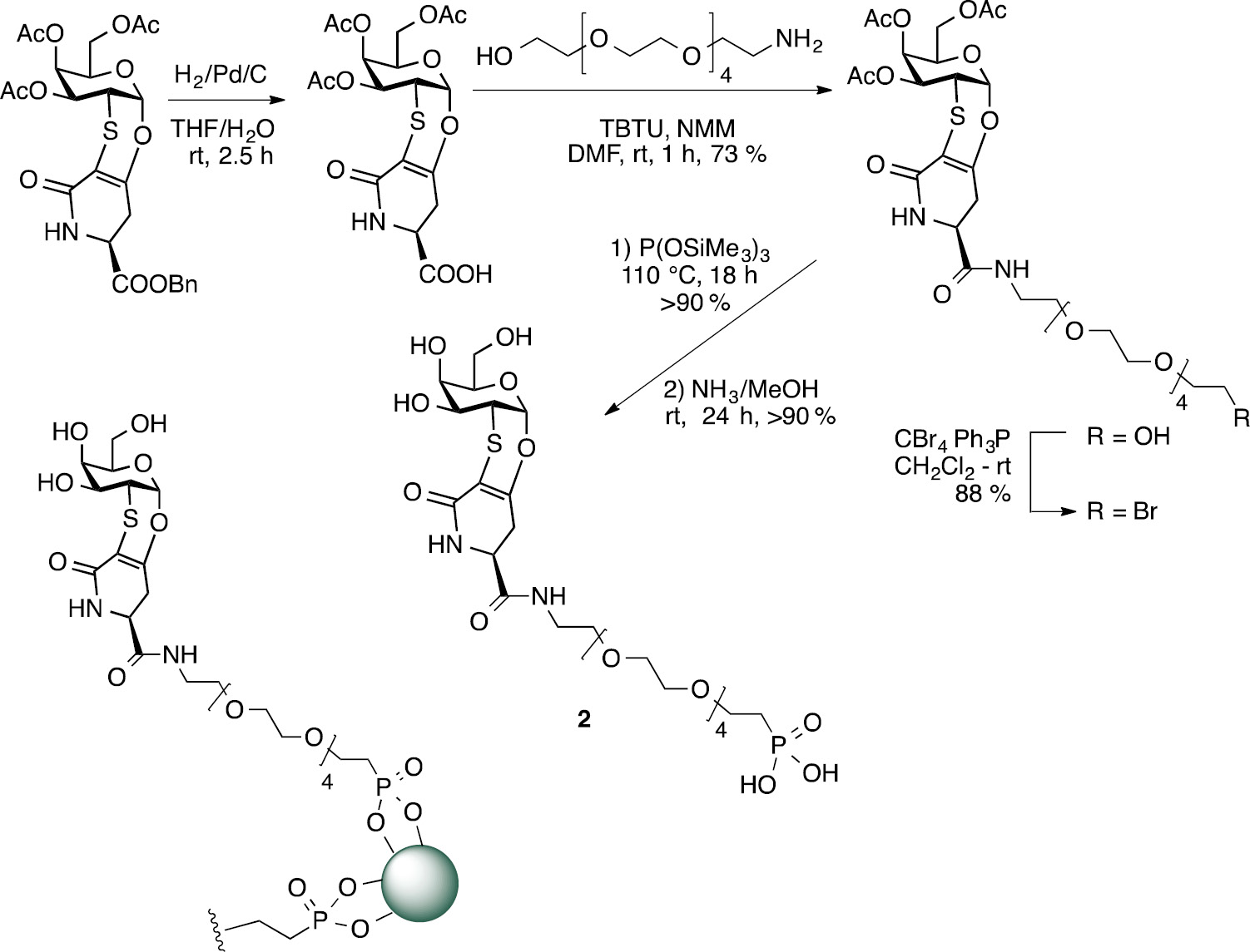 Scheme 1: Synthesis of compound 2 and representation of glycosylated MNPs.
