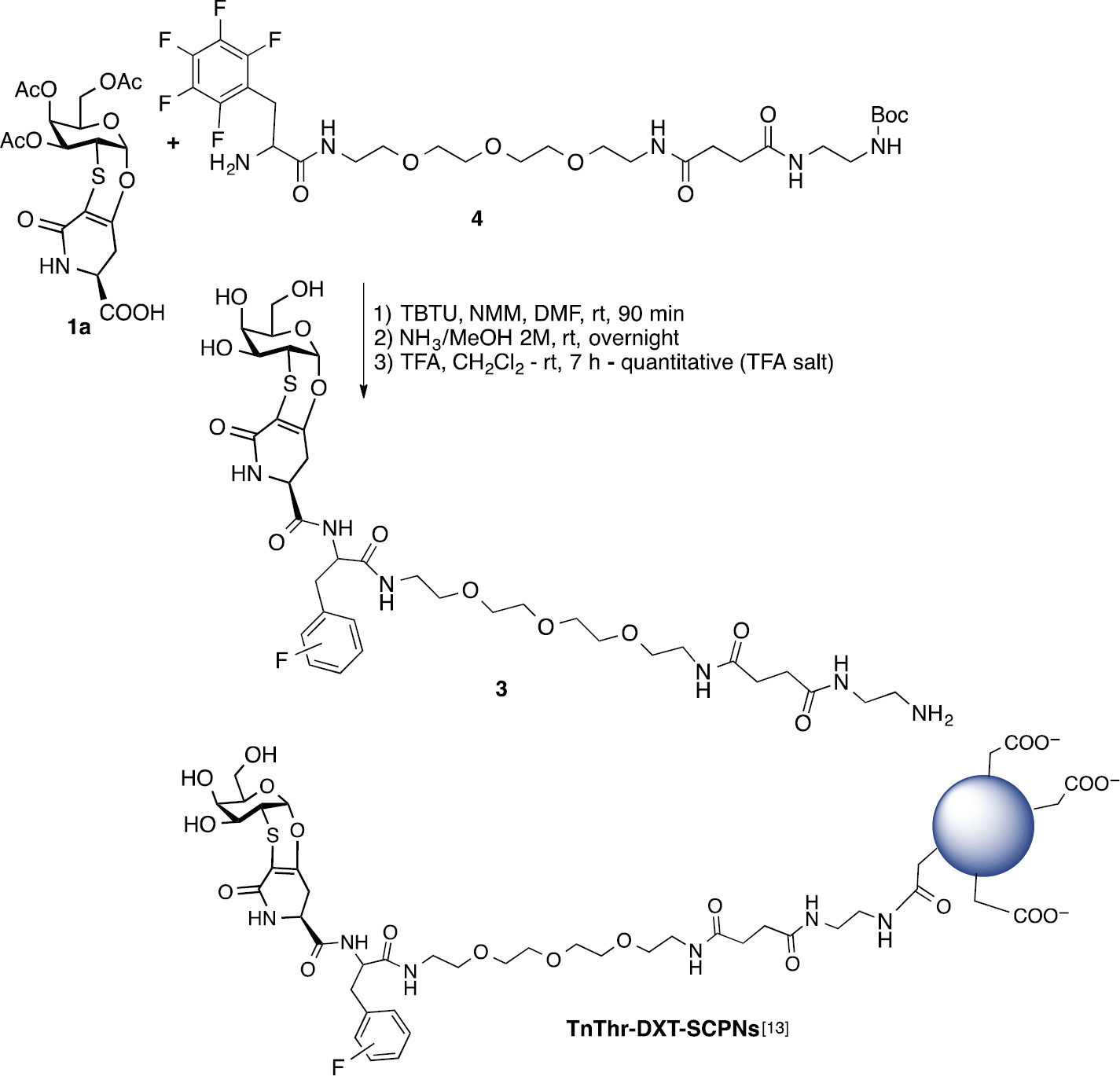 Scheme 2: Synthesis of mimetic 3 and representation of TnThr-DXT-SCPNs.