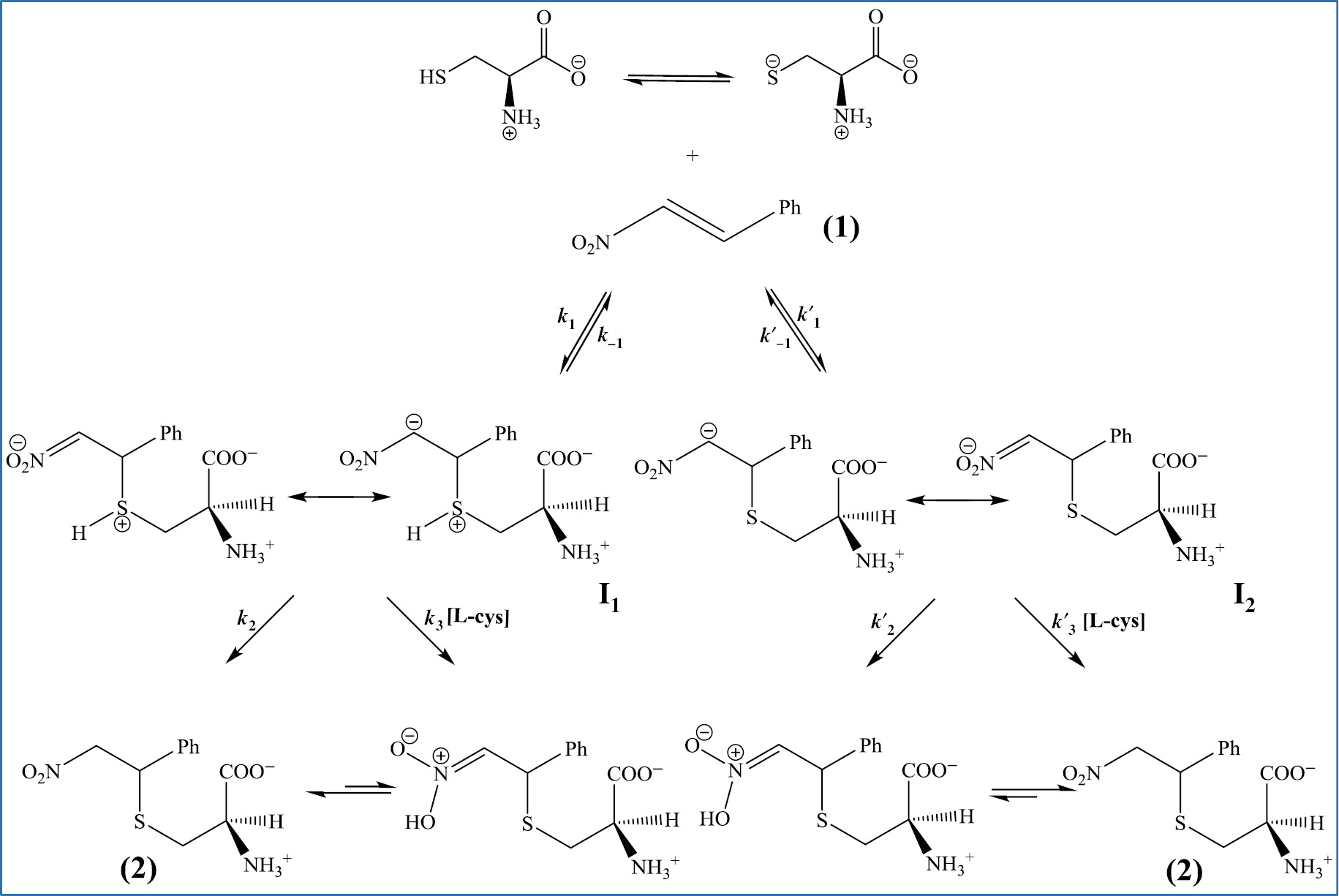 Scheme 1: Proposed mechanism for the reaction between 1 and L-Cys.