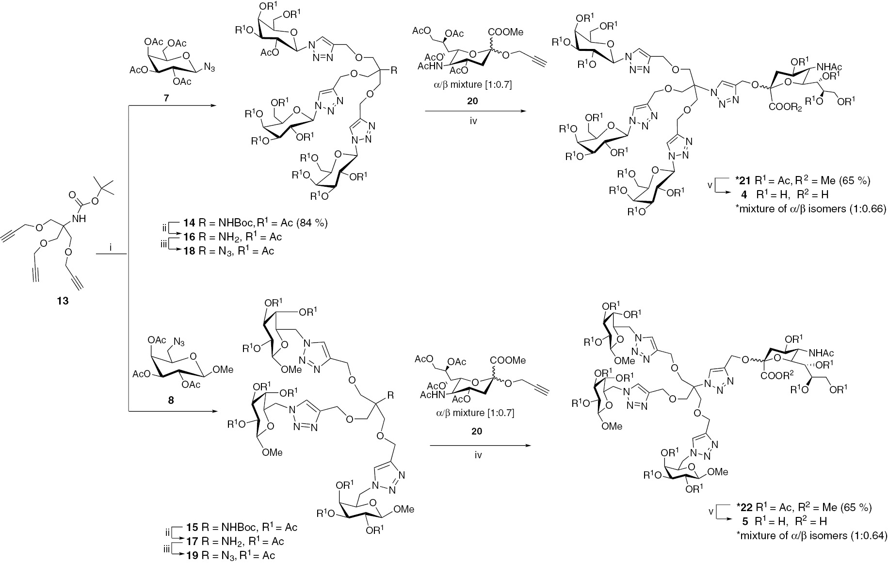 Scheme 3: New heteroglycoclusters obtained from 1,3-dipolar cycloaddition reactions. Reagents and conditions: i. Building block 13 (0.15 mmol), azidosugars 7 or 8 (4.4 molar eq.), CuSO4 (0.03 molar eq.), Na ascorbate (0.1 molar eq.), DMF (0.1 mL), microwave heating at 80°C, 15 min. (3×). ii. 14 or 15 (0.11 mmol), CH2Cl2/TFA 80% (2 mL, v/v), 2 h, rt. iii. CuSO4 (0.023 mmol), imidazole-1-sulfonyl azide hydrosulfate (1.6 molar eq.), NaHCO3 (0.23 mmol), MeOH (4 mL). iv. Azide-functionalized dendrimer 18 or 19 (0.05 mmol), 2-propynyl-sialic acid 20 (0.05 mmol), CuSO4 (0.03 molar eq.), Na ascorbate (0.1 molar eq.), DMF (0.1 mL), microwave heating at 80°C, 15 min. (3×). v. KOH 0.2 M, 48 h. *Relative ratios of the two isomers were calculated based on NMR integration values.