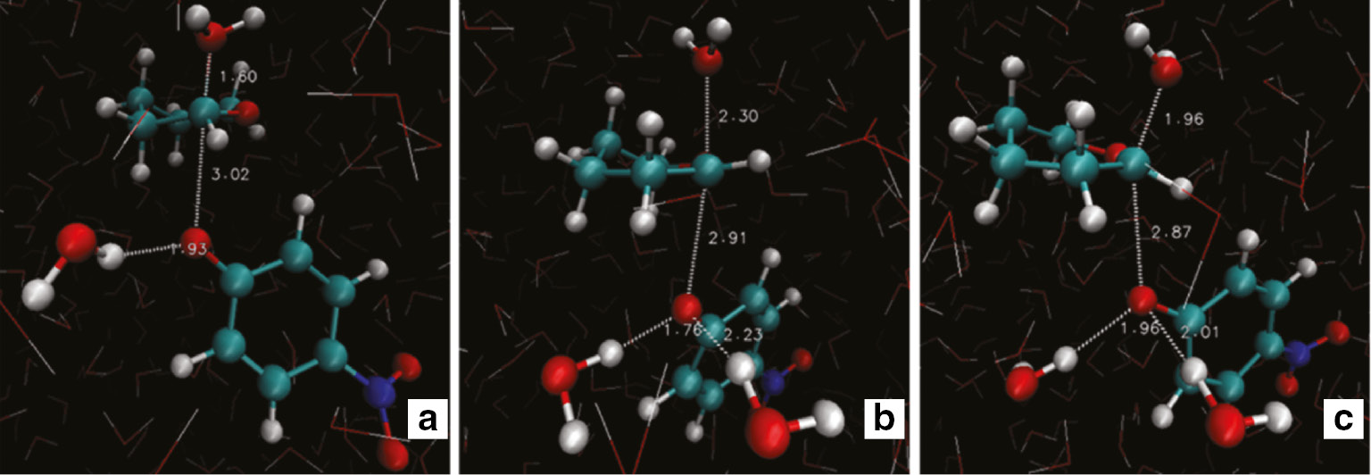 Fig. 4: (a) Protonated hemiacetal product and unbound leaving group. (b) Putative SN2 (intermediate) structure displaying nucleophilic solvent assistance as Cα–Olg bond is cleaved. (c) Putative SN2 (intermediate) transition structure. Specific hydrogen bonds between electrophilic assistive water molecules and Olg are shown.