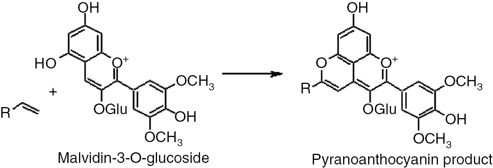 Scheme 1: 
          Generic reaction for the formation of pyranoanthocyanin-type products during the maturation of red wines.
        