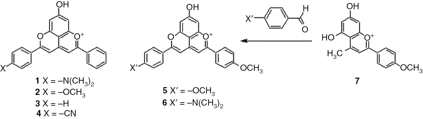 Scheme 2: 
          Substituted pyranoflavylium cations and the preparation route of the disubstituted derivatives 5 and 6.
        