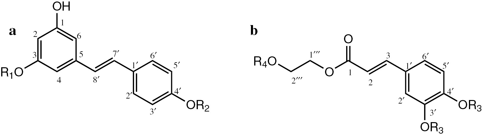 Fig. 2: Atom numbering used for the NMR signal assignment of compounds type (a) and (b): R1, R2=H, glycosyl; R3=TBDMS, H; R4=H, glycosyl. Sugar atoms are numbered from 1″ to 6″, starting with the anomeric position.