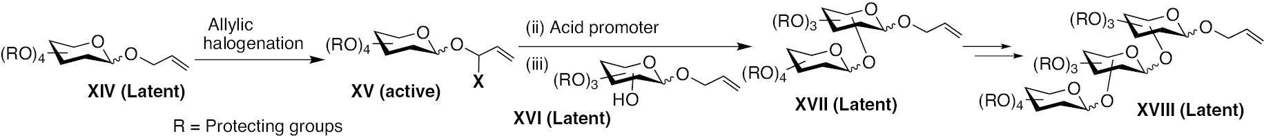 Fig. 4: A scheme of latent-active glycosylation involving an allyl glycoside, initiated by a radical-mediated allylic halogenations [43].