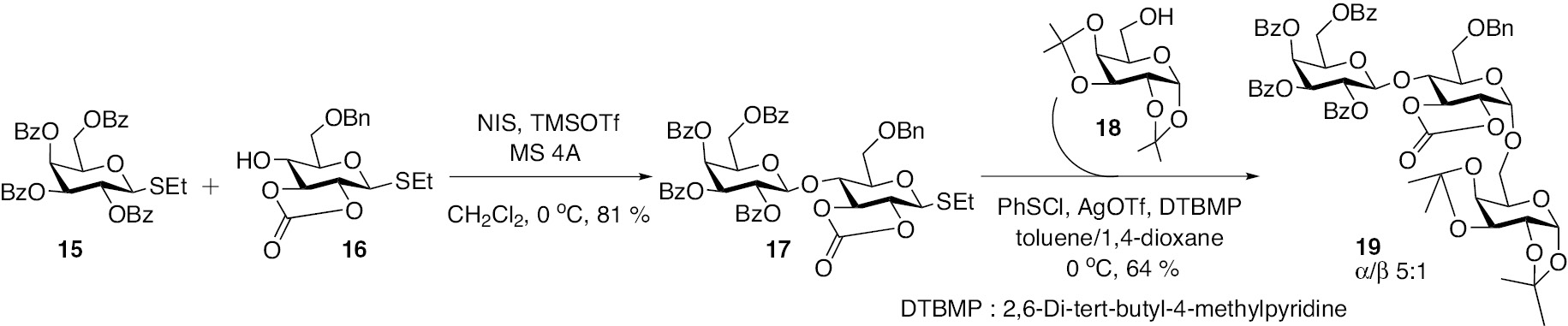 Scheme 4: Synthesis of trisaccharide 19, involving a carbonate protected synthon 16 [20].