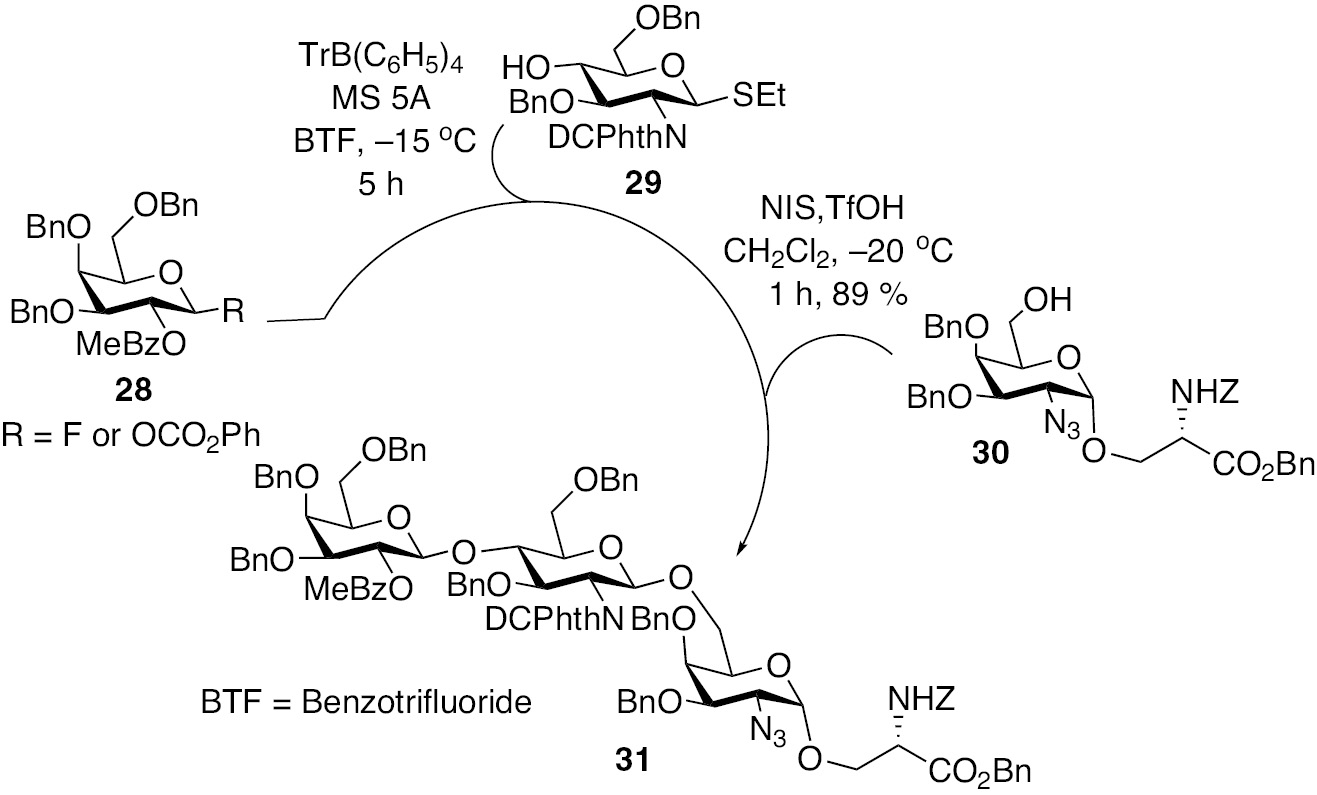 Scheme 7: Orthogonal methodology to the synthesis of glucosyl amino acid 31 [24].