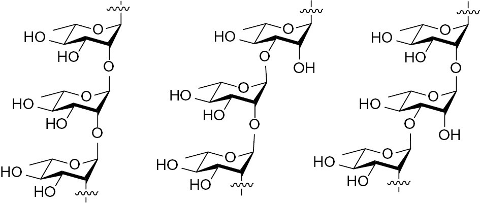 Figure 1: Linear l-rhamnan structures with 1,2 and 1,3-linked constituents.