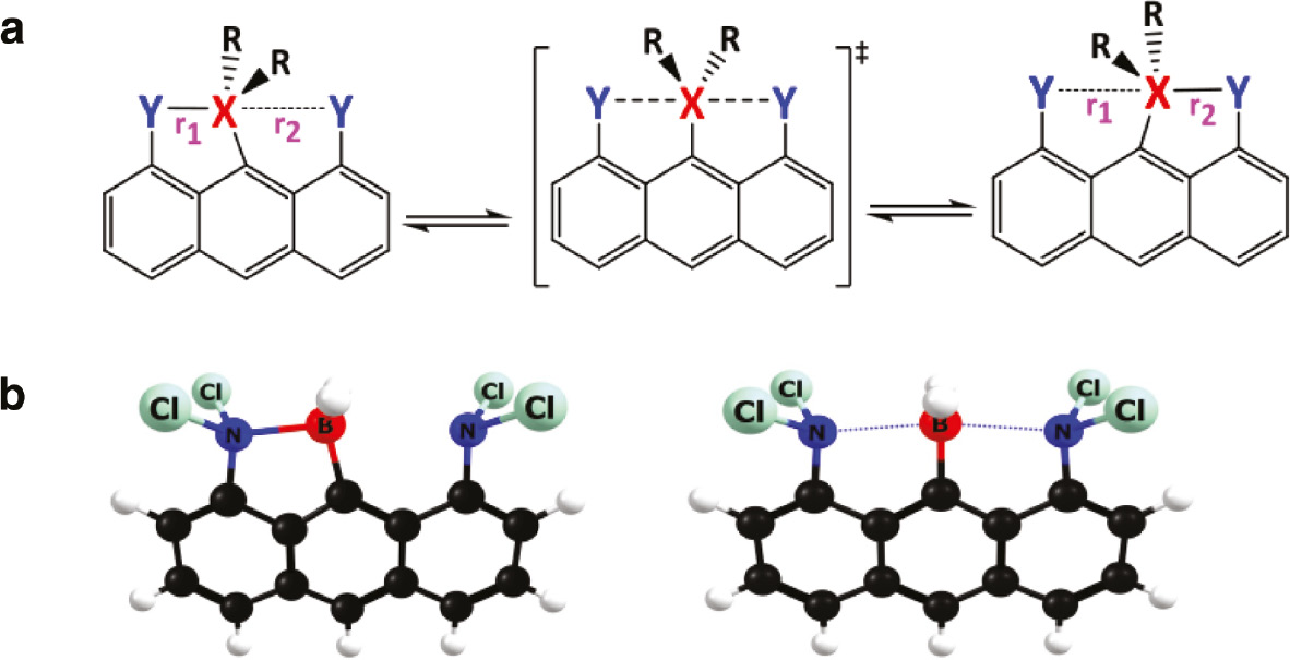 Fig. 1: (a) Bell-clapper degenerate reactions for BR,Y and CR,Y (X=B or C+). In many cases the symmetrical structure is sufficiently stabilized to produce a single pentacoordinated species instead of the degenerate double-well system. (b) Optimized structures of BH,NCl2 at Cs (stable geometry) and C2v (transition state) symmetry.