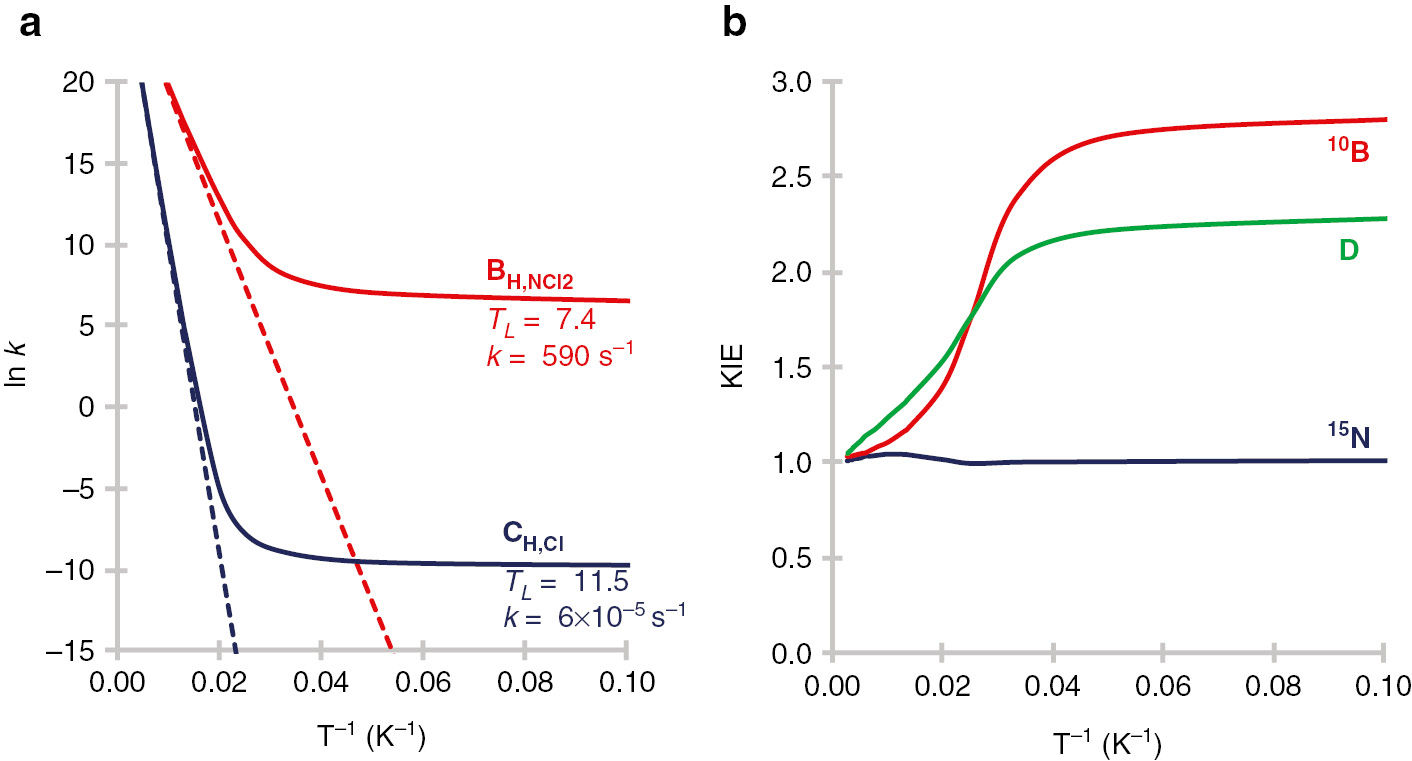 Fig. 2: (a) Arrhenius graph of the CVT (dashed lines) and CVT+SCT (curved lines) natural logarithms of the rate constants versus T−1 for the bell-clapper reaction of BH,NCl2 (in red) and CH,Cl (in blue) systems. (b) Kinetic isotope effects including QMT of BH,NCl2 for the boron (10B/11B), the two hydrogens connected to B (H/D) and the two nitrogens (14N/15N).