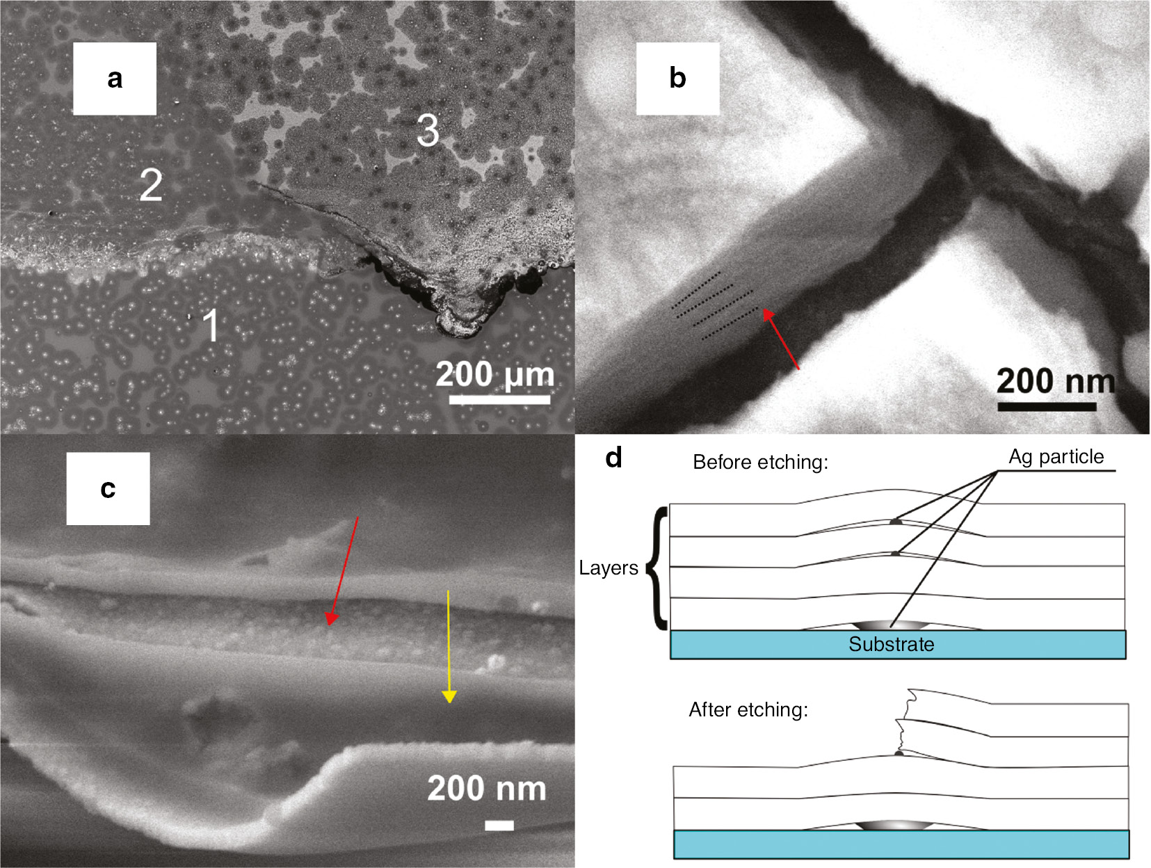 Fig. 1: 
          (a) The etched Ag doped GeSe2 thin film. The monolayer sequence from the top to the bottom is marked from 1 to 3. (b) SEM image of the cross section along the film after etching. The red arrow points out to the edge of the film where monolayers are observable. The black dash line marks the position of black strips. (c) The nano structure of AgGeSe2 delaminated monolayers. The yellow arrow points at the top monolayer. And the red arrow points at the monolayer underneath. (d) The illustration of thin film structure before and after etching. The black dots represent Ag particles.
        