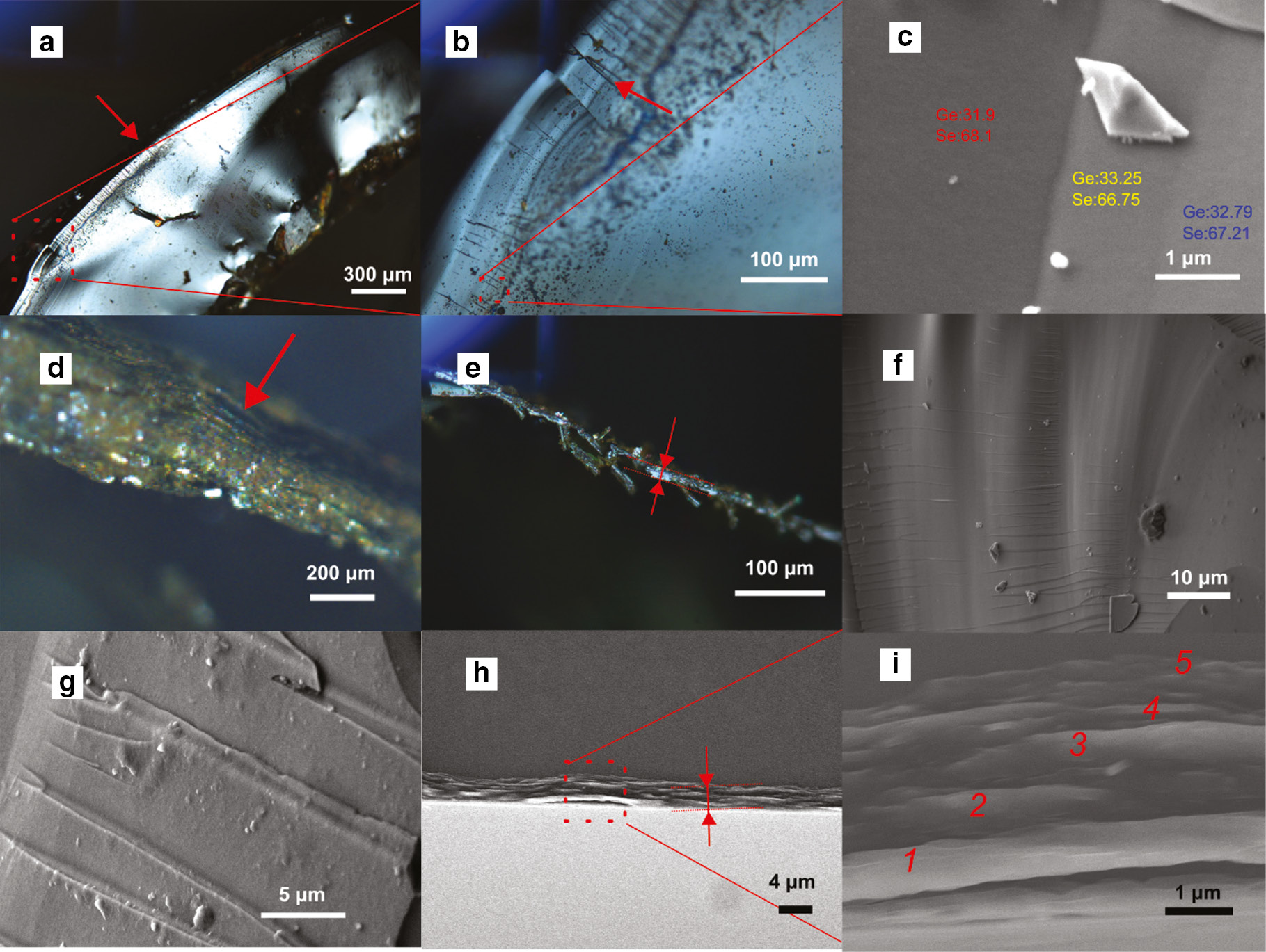 Fig. 5: 
          (a) The optical image of cross-section in GeSe2 glass ingot. The red arrow points at the monolayers. (b) The enlarged optical image from (a). (c) The SEM image of enlarged monolayer in (b) with composition measured by EDX. (d) The optical image of GeSe2 ingot from the side view. The steps of monolayers are pointed out by the red arrow. (e) The optical image of GeSe2 glass monolayer. (f) The cracks throughout the monolayers. (g) High magnification SEM images of cracks. (h) The cross sectional view of as-deposited GeSe2 thin film. (i) Enlarged image from (h). The number of monolayers is marked from 1 to 5.
        