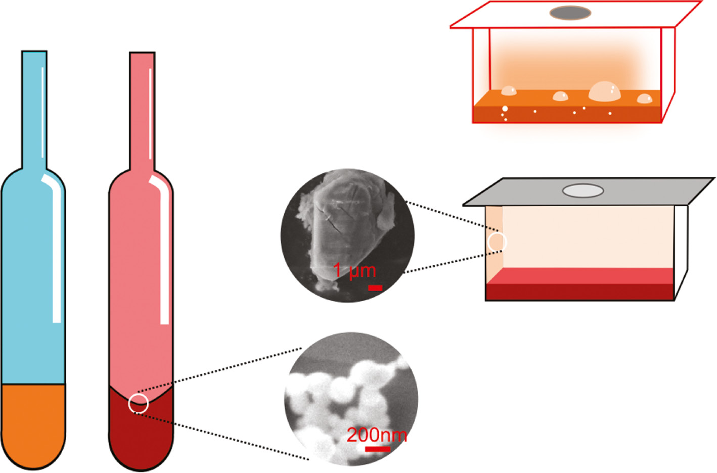 Fig. 7: 
          The SEM images of particles formed on the hot wall of ampule (left figure) and evaporation boat (right figure).
        