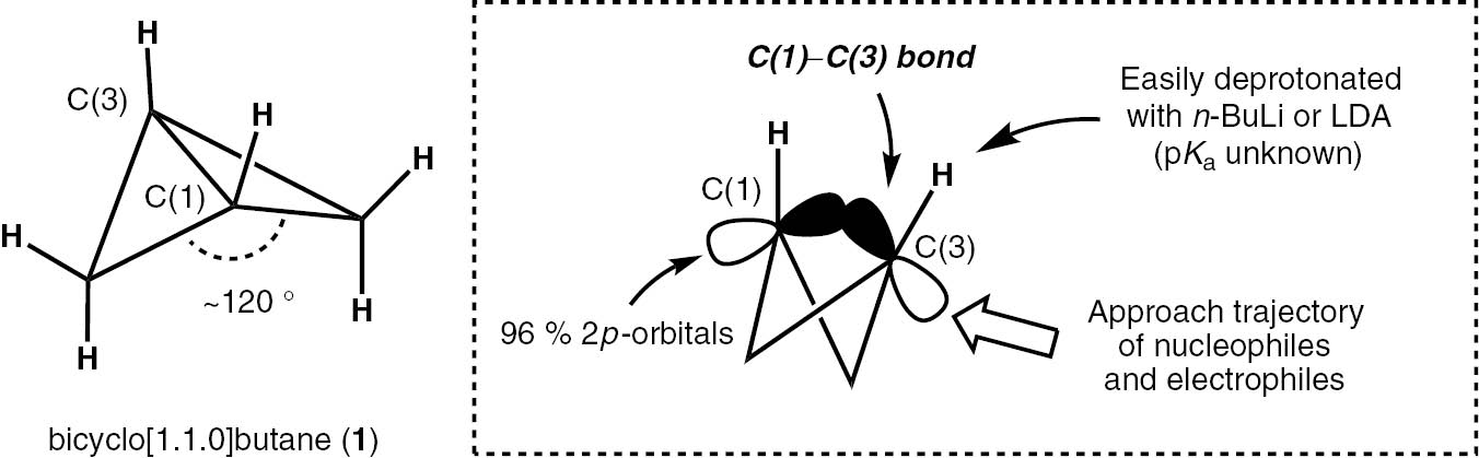 Fig. 1: The structure and bonding of bicyclo[1.1.0]butane (1).