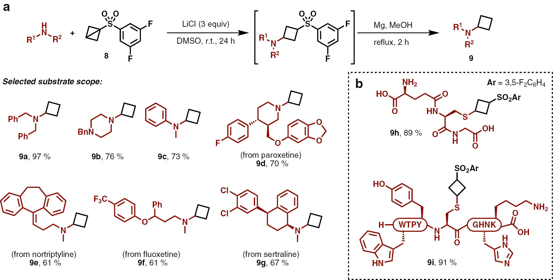 Scheme 3: Baran’s reaction of amines and thiols with bicyclo[1.1.0]butyl sulfones. (a) Reaction conditions and selected substrate scope. (b) The reaction of thiols embedded within complex molecules with bicyclo[1.1.0]butyl sulfones.