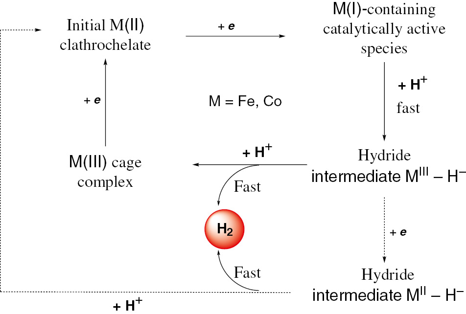 Fig. 2:
Proposed scheme of the clathrochelate-electrocatalyzed HER.
