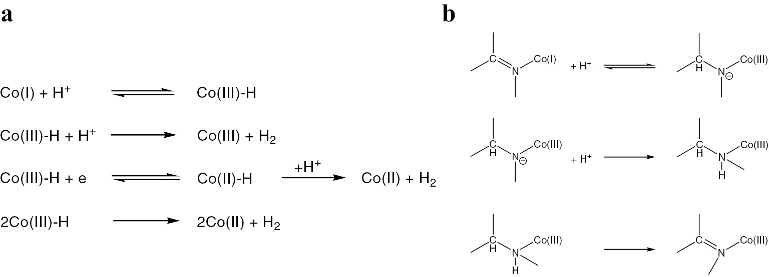 Fig. 4:
Formation of the cobalt–hydride intermediates (a) and of the corresponding ligand-supported species (b).