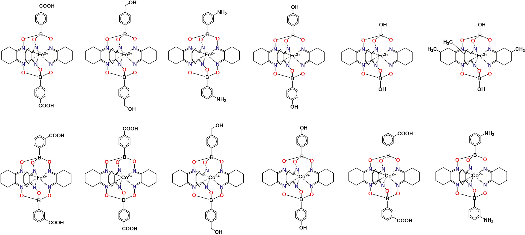Fig. 9:
Chemical drawings of the iron and cobalt(II) clathrochelates with polar groups.