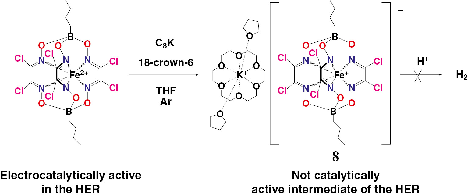 Scheme 1:
Synthesis and reactivity of an iron(I) hexachloroclathrochelate.