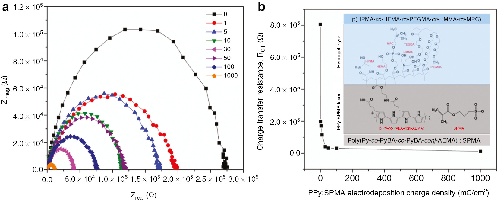 Fig. 4:
(a) Nyquist plots showing real and imaginary components of the complex impedance, where, for a simple Randles R(QR) equivalent circuit, the rightmost x-intercept of each curve represents the sum of membrane resistance and charge transfer resistance. (b) Plot of RCT as a function of the electrodeposition charge density of PPy:SPMA films. Insert shows the structure of the two layer polymer film.