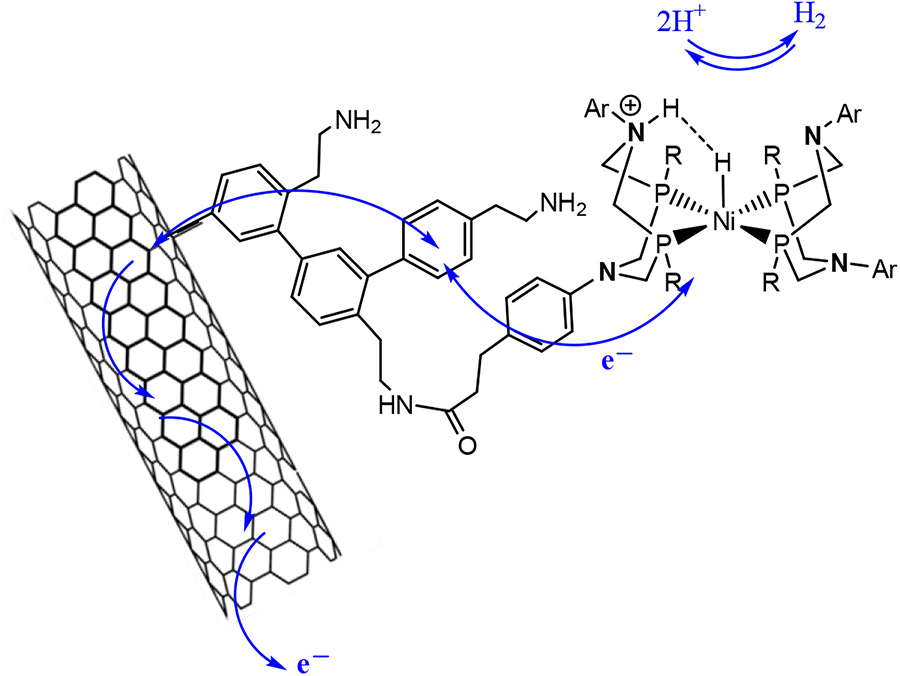 Fig. 4:
Schematic representation of the structure and reactivity of the bioinspired nickel catalyst grafted on a carbon nanotube. Electrons are exchanged between the carbon nanotube and the Ni centers where H+ is reduced to H2 or H2 oxidized to H+.