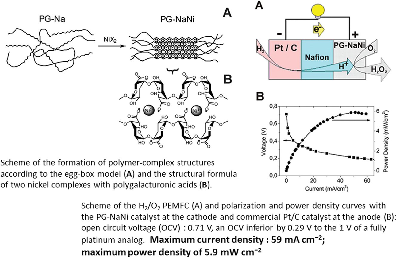 Fig. 10:
Nickel-based pectin coordination polymer as an oxygen reduction reaction catalyst for proton exchange membrane fuel cells.