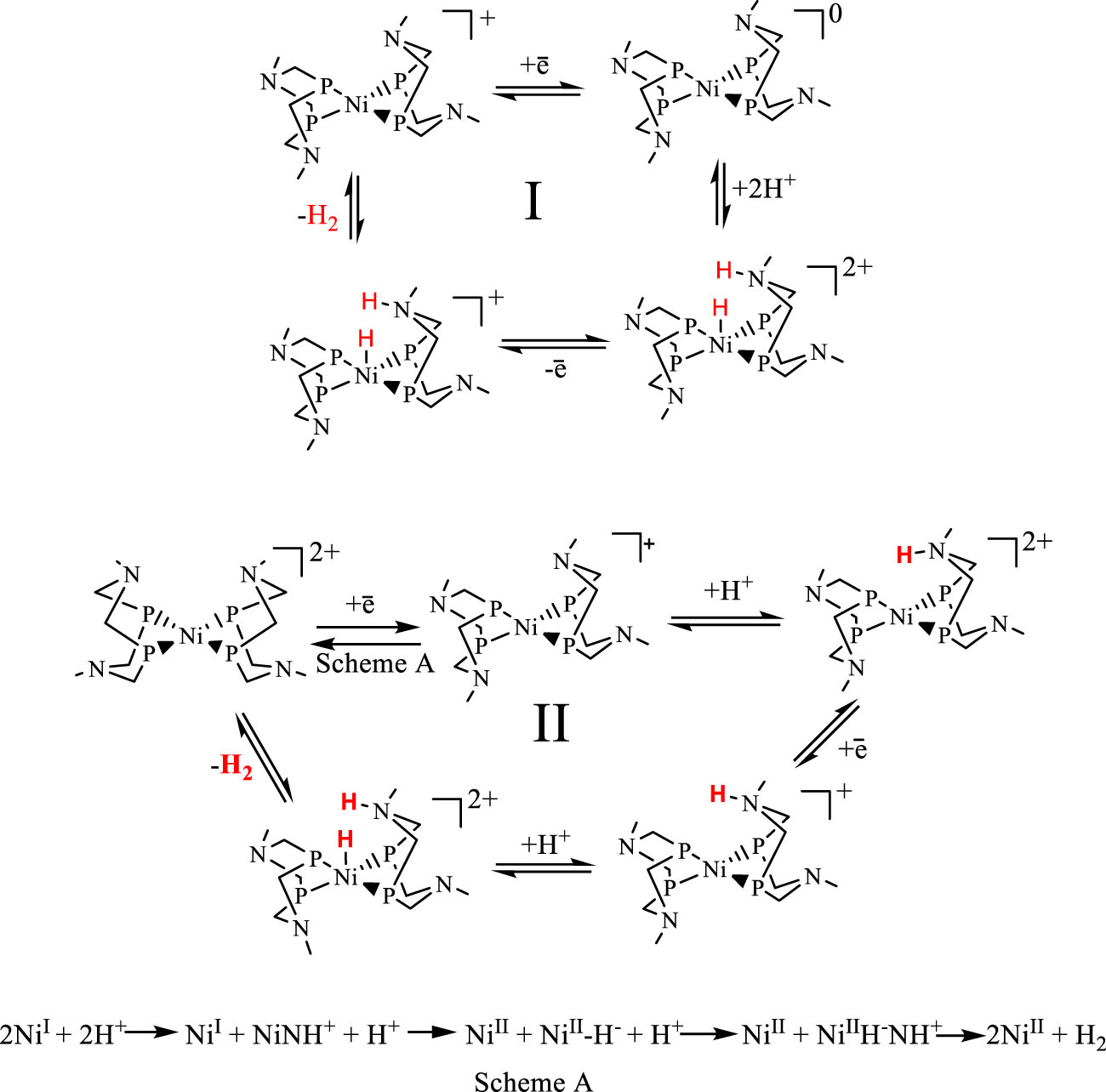 Scheme 1:
The proposed catalytic cycles by in situ generated Ni1+(PPh
2NR
2)2 (where R = p-Tolyl for I, R = benzyl for II).