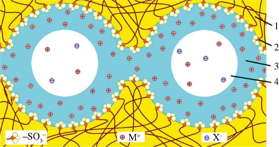 Fig. 2: 
Scheme of cluster-channel or cluster-network system in the cation exchange membrane. (1) membrane matrix consisting of perfluorinated chains, (2) functional –SO3
− groups, (3) Debye layer, (4) electrically neutral solution [54].
